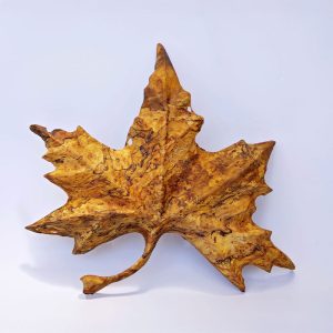 Small Leaf - Wood 2025